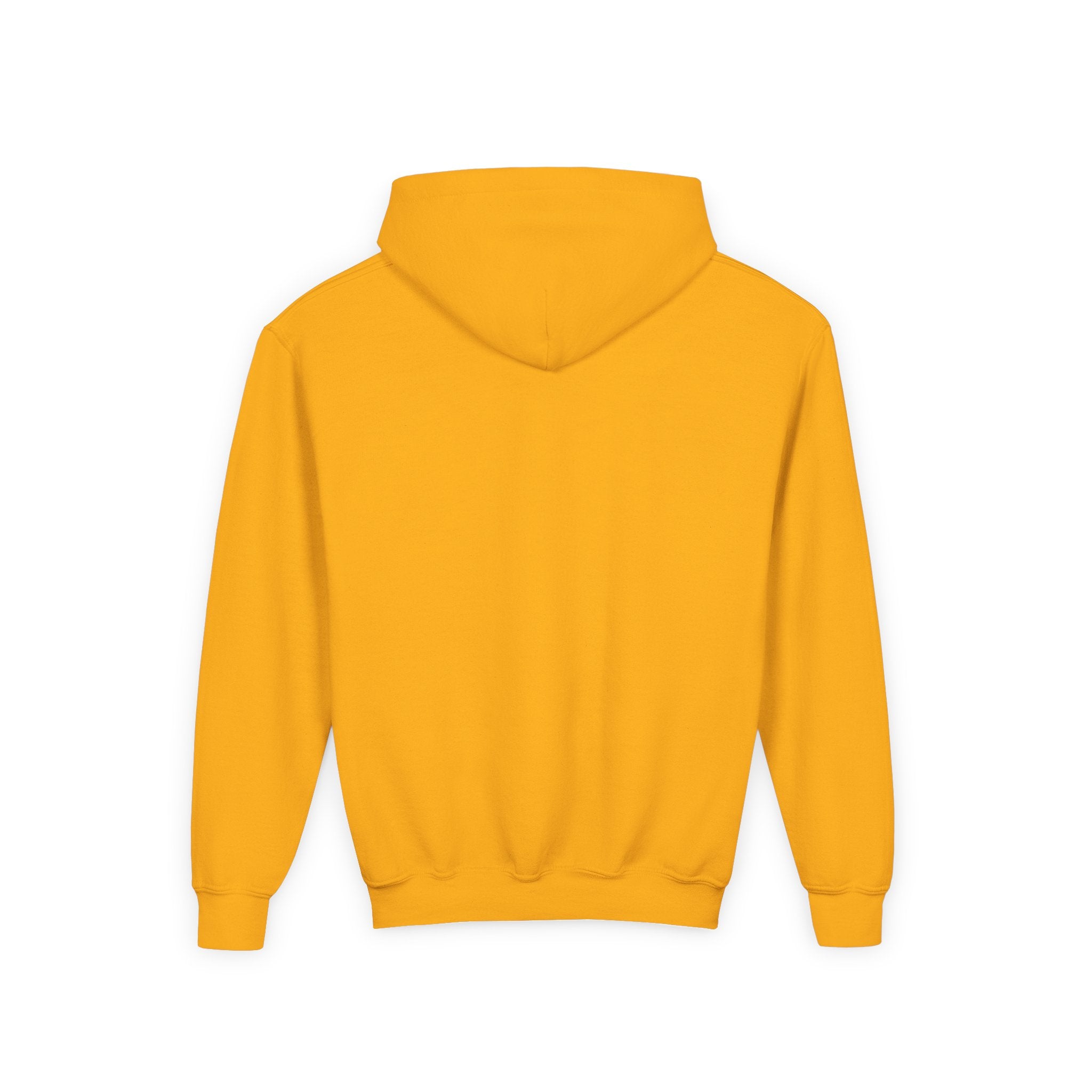 Premium Vlaamse Leeuw Youth Heavy Blend Hooded Sweatshirt | VlaamseKracht®