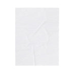 Premium Vlaamse Leeuw Velveteen Plush Blanket | VlaamseKracht®
