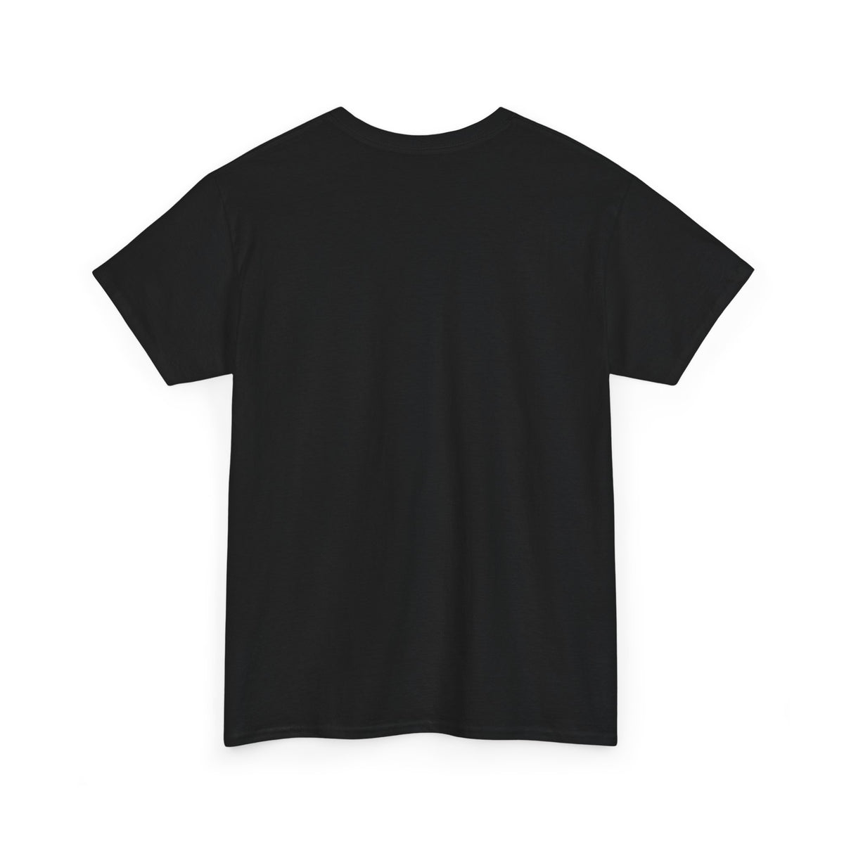 PAKJE ONDERWEG! Unisex T-shirt | De Pakjesbezorger | VlaamseKracht®