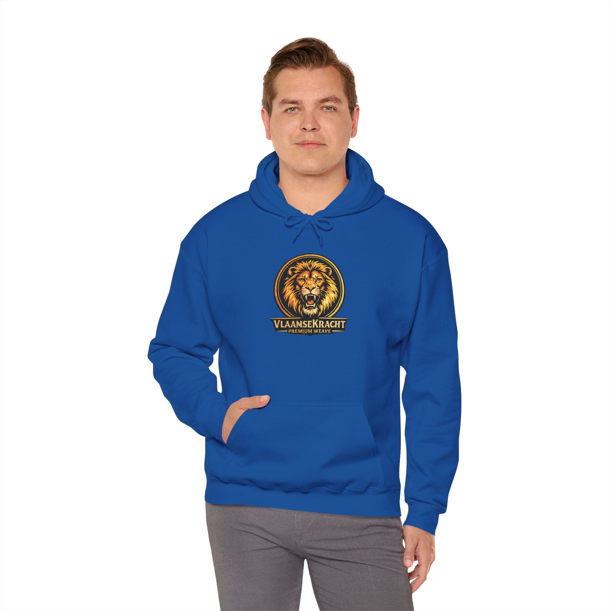 Lion Crest Hoodie - Vlaankerkracht Vintage Lion Emblem Sweatshirt