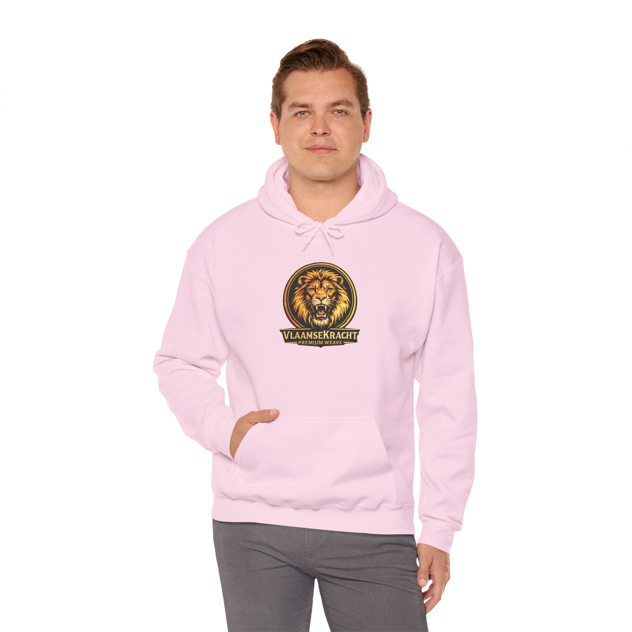 Lion Crest Hoodie - Vlaankerkracht Vintage Lion Emblem Sweatshirt