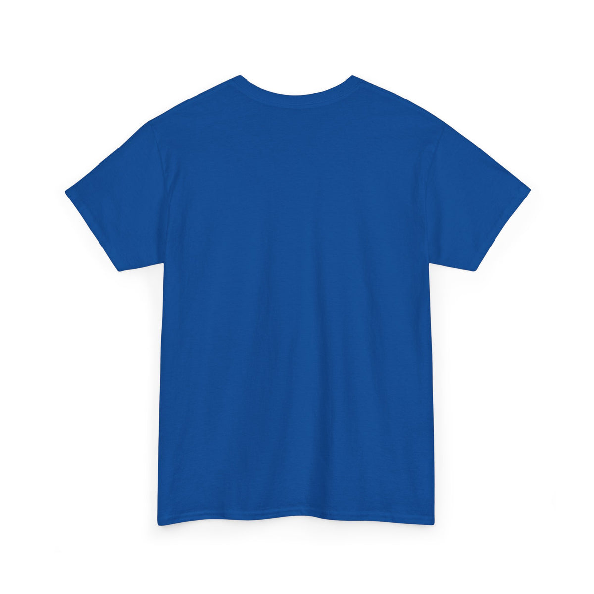 LIER Unisex T-shirt | Nieuw ontwerp | VlaamseKracht®