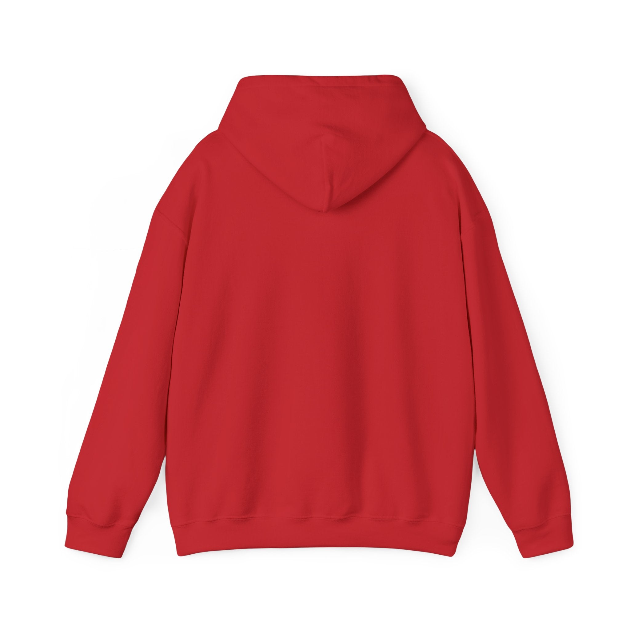 Lion Crest Hoodie - Vlaankerkracht Vintage Lion Emblem Sweatshirt