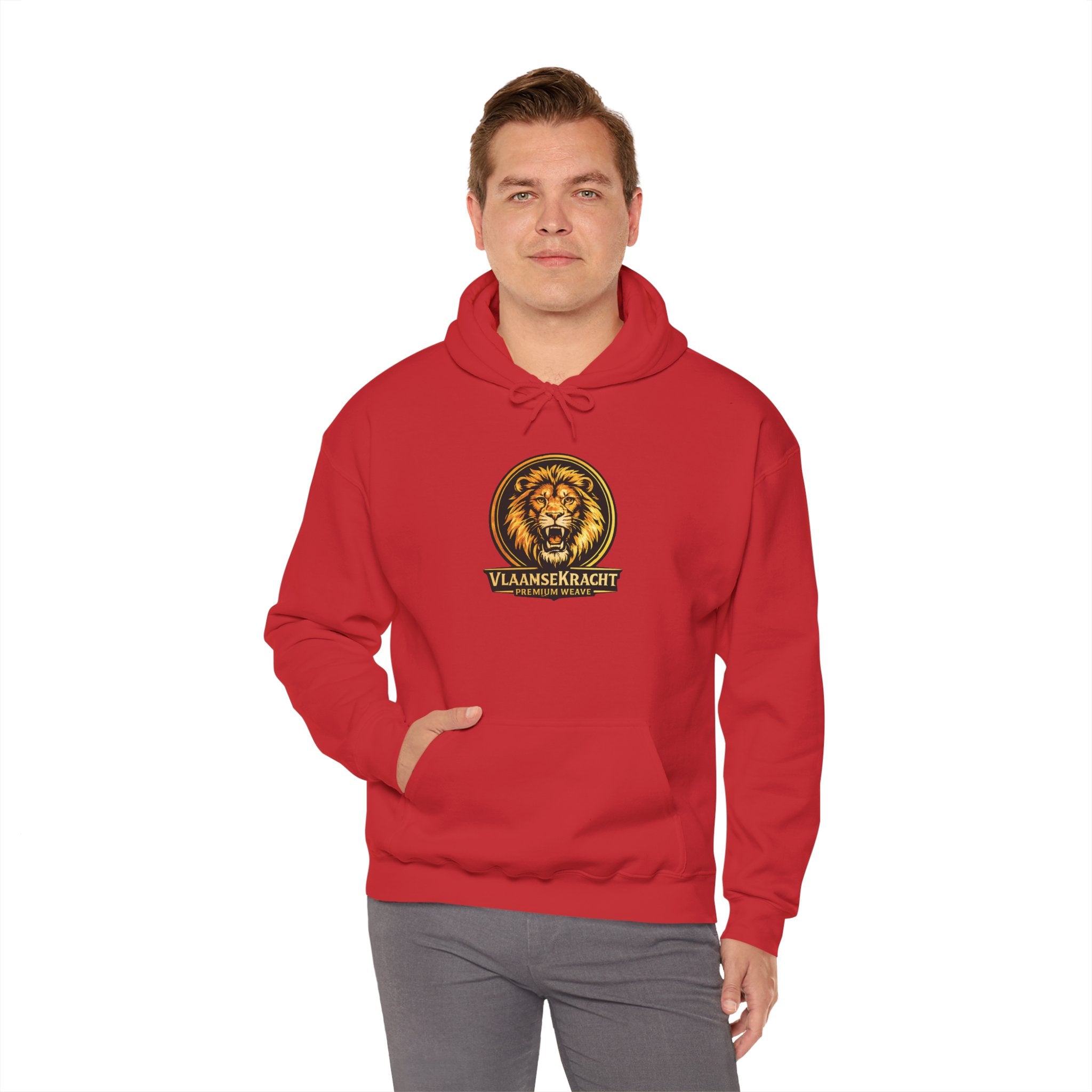 Lion Crest Hoodie - Vlaankerkracht Vintage Lion Emblem Sweatshirt