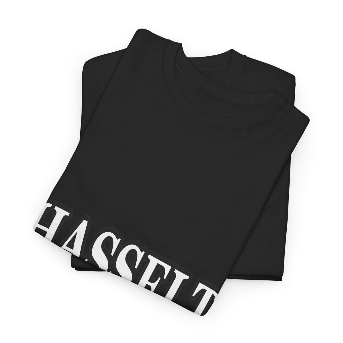 HASSELT Unisex T-shirt | België | VlaamseKracht®