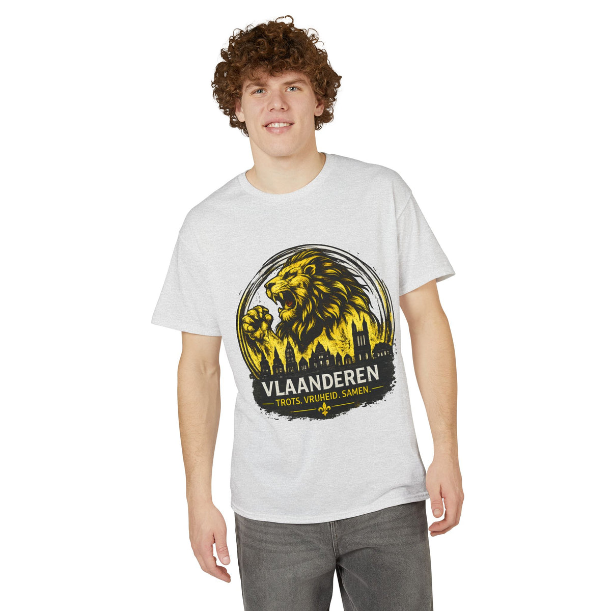 Vlaanderen Lion T‑Shirt — Proud Vlaanderen Graphic Tee